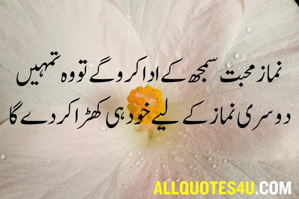 good islamic quotes in urdu