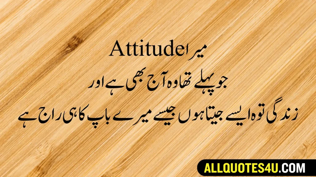 one line attitude quotes in urdu