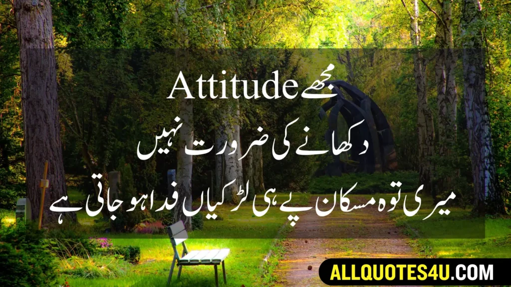 boys attitude quotes in urdu