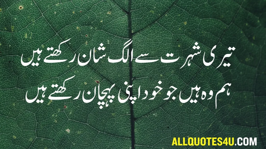 killer attitude quotes in urdu